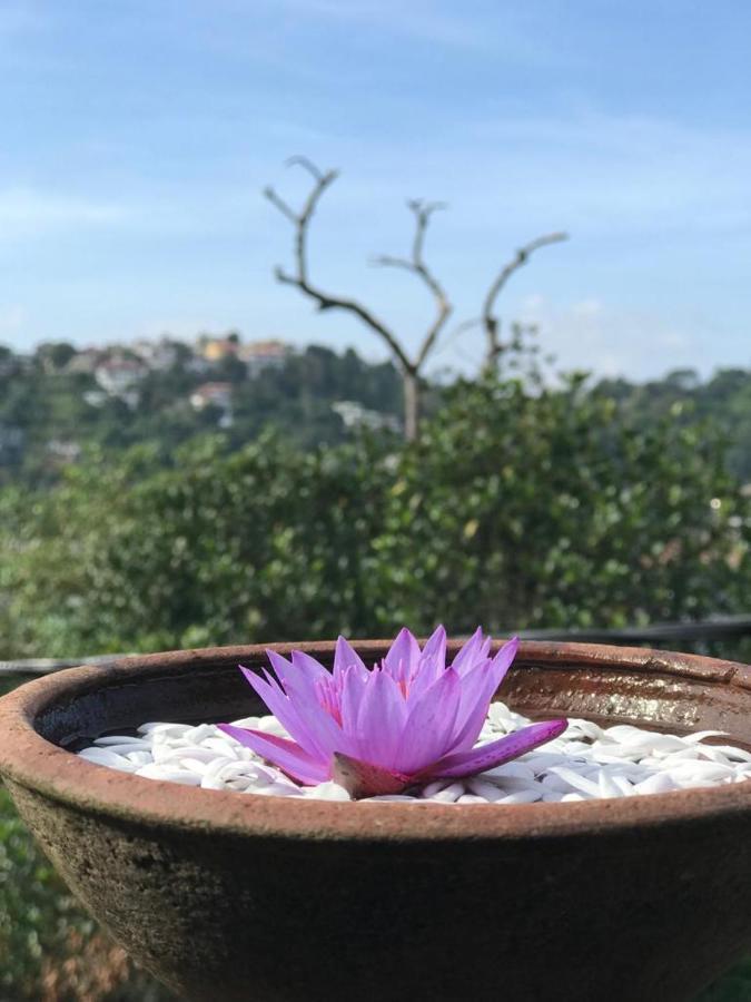 H S Home Stay Kandy Exterior photo